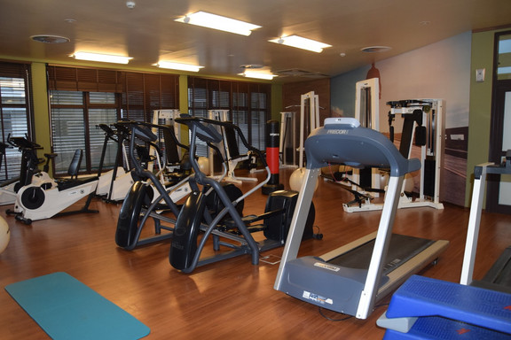 Fitness Fitness