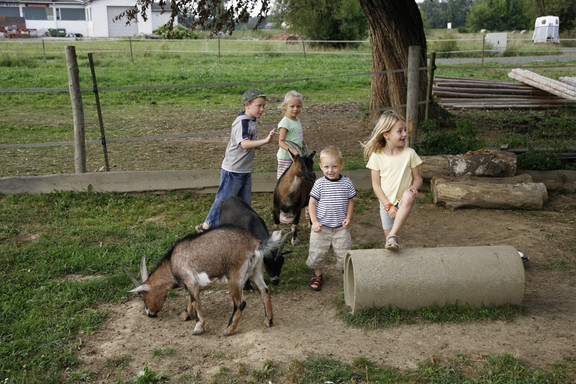 Family Ranch